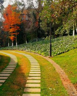 Road amidst trees during autumn