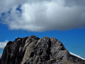 Low angle view of bird flying against sky