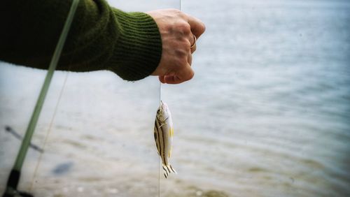 Close-up of hand holding fish in sea