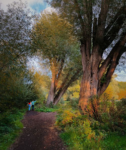 Rear view of people walking on street amidst trees