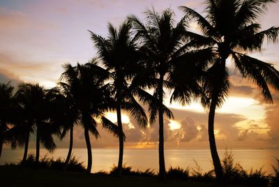 Silhouette palm trees at beach during sunset