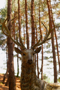 Deer statue in the forest. endangered animals. caring for the planet.