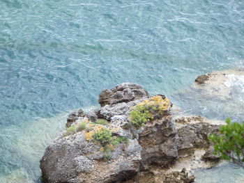 High angle view of rocks on beach