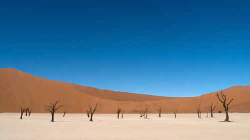 Scenic view of desert against clear blue sky