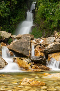 Scenic view of waterfall in forest