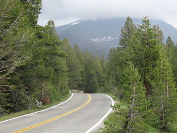 Road amidst trees and mountains