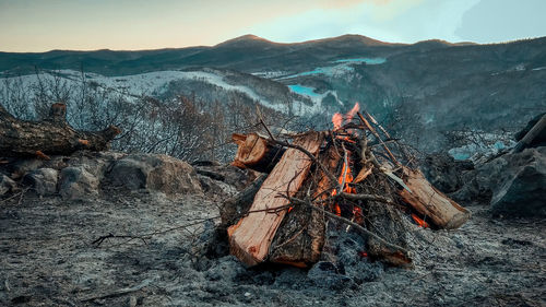 High angle view of bonfire on wooden surface