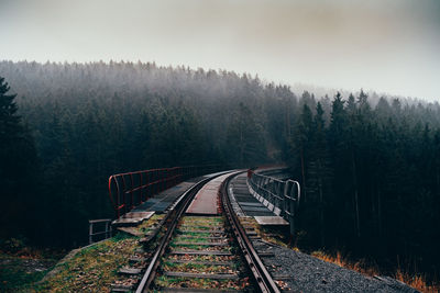 High angle view of railroad track amidst forest