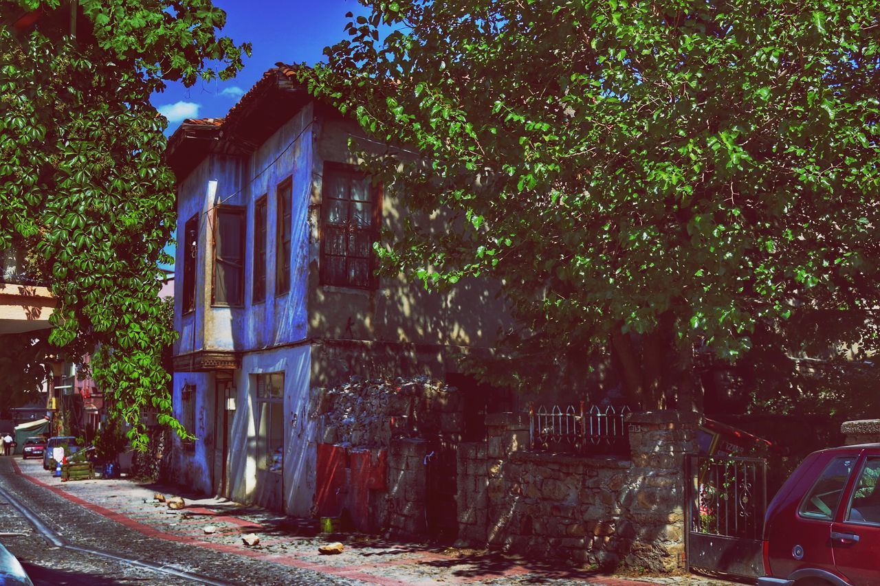 VIEW OF OLD BUILDING AND TREES