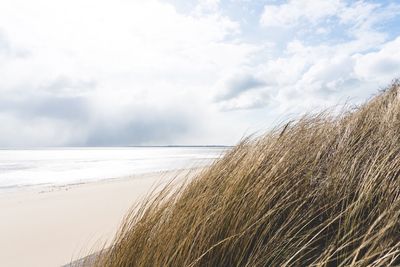 Close-up of sand on beach against sky