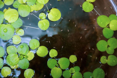 Full frame shot of water