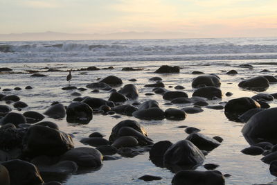 Rocks on beach against sky during sunset