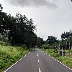 Road amidst trees against sky