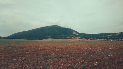 Scenic view of landscape against sky