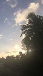 Low angle view of silhouette palm trees against sky during sunset