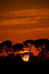 Silhouette trees against dramatic sky during sunset