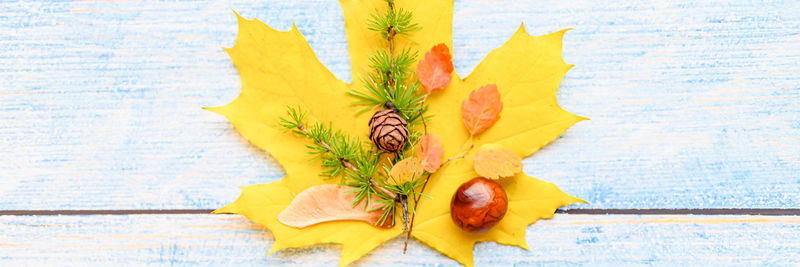 High angle view of leaves on table