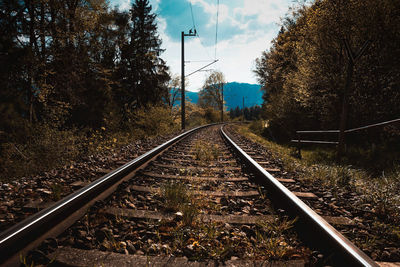 Railroad tracks amidst trees in forest against sky