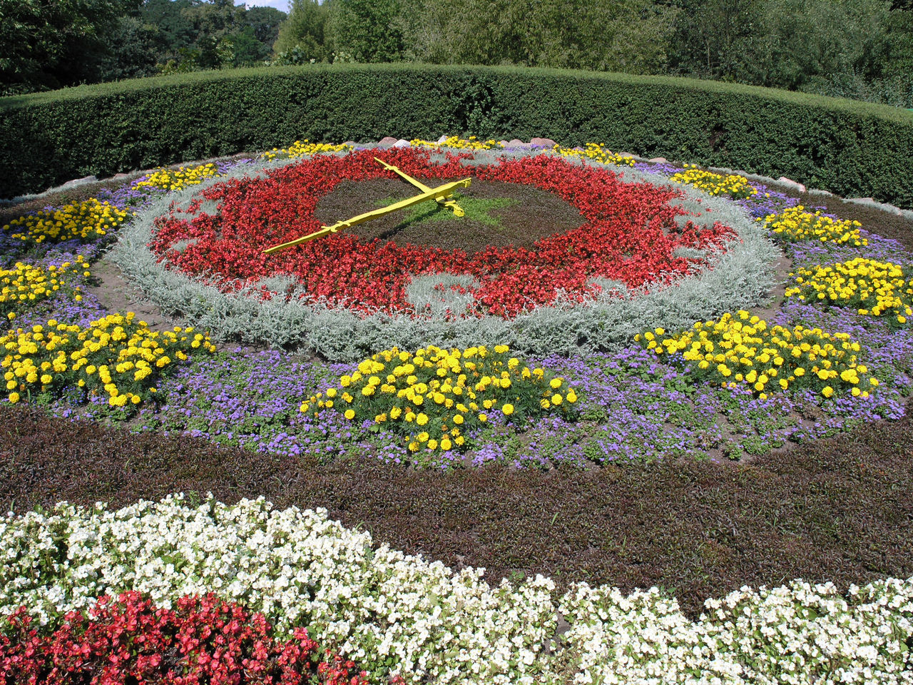 Clock made from flowers