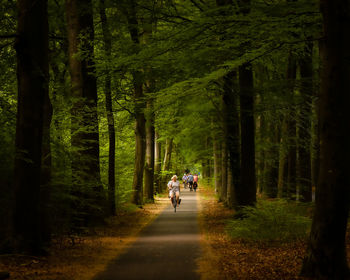 Rear view of people walking on road in forest