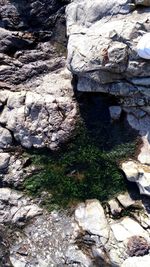 Close-up of rock formation