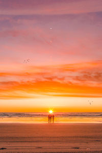 Birds flying over beach against sky during sunset with people on sand