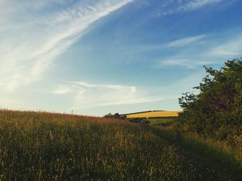 Scenic view of field against sky