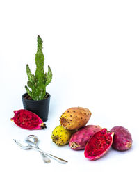 Close-up of fruits against white background