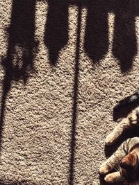 Full frame shot of white background