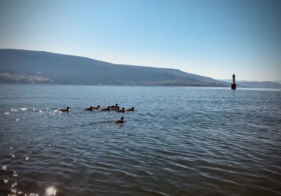 People swimming in lake against clear sky