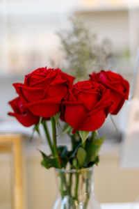 Close-up of red rose in vase