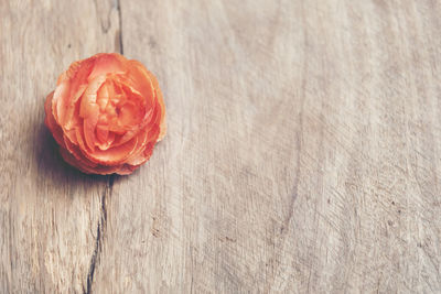 Close-up of red rose on table