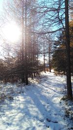 Snow covered landscape against sky