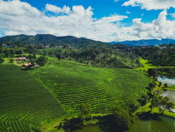 landscape