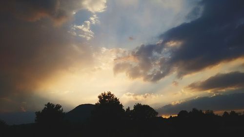 Silhouette trees against sky during sunset