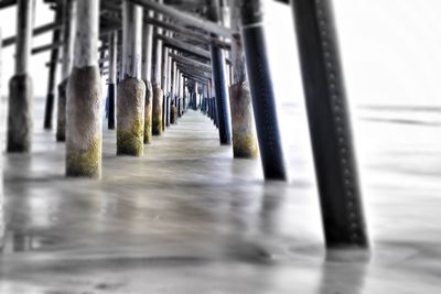 Close-up of railings