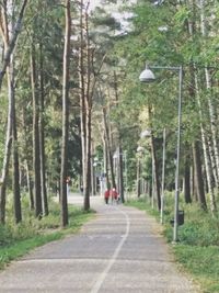 Trees in park