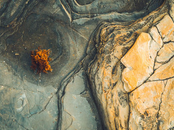 Directly above shot of rock in sea