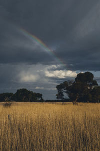 Rainbow on a rainy dramatic sky at the grasslands of grampians national park, victoria australia