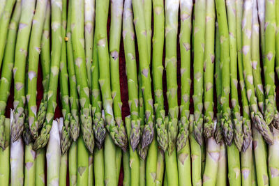 Full frame shot of asparagus