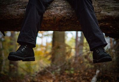 Low section of man wearing shoes in forest