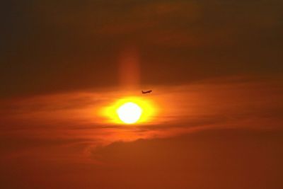 Silhouette bird flying against orange sky