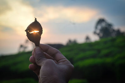 Close-up of hand holding leaf against sky during sunset