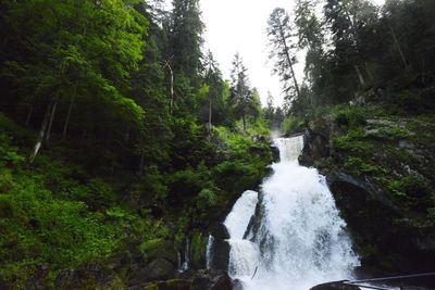 Waterfall amidst trees against sky