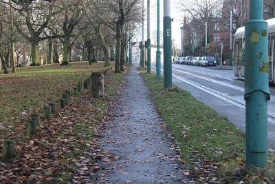 Road amidst bare trees during autumn