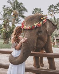 Smiling young woman touching elephant