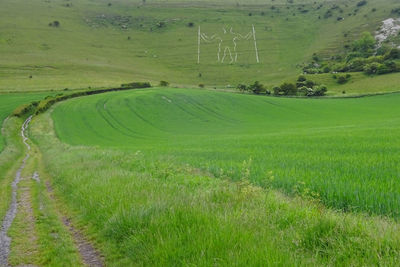 Scenic view of agricultural field