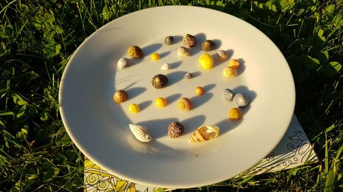 High angle view of breakfast on table