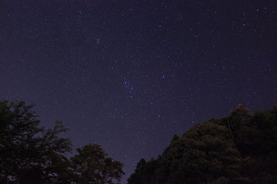 Low angle view of silhouette trees against star field at night