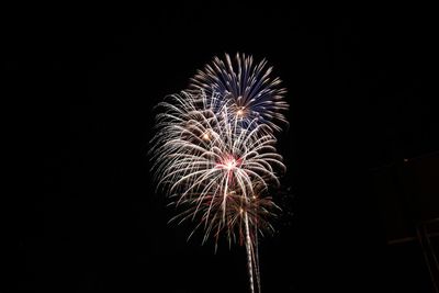 Low angle view of firework display at night